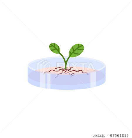 Plants genetic modification and bioengineering flat vector illustration isolated. 92561815