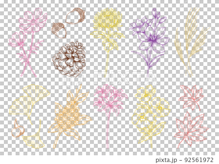 秋の花や植物, ベクターのイラストレーション, カラー線画, 秋の挿絵のセット. 92561972