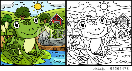 Frog Coloring Page Colored Illustration Frog Coloring Page Colored Illustration 92562478