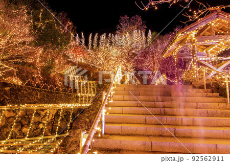国営備北丘陵公園のイルミネーション 92562911