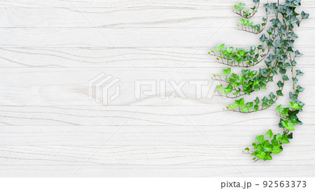 木目素材とグリーン 92563373