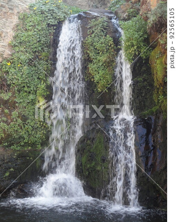 Alamere falls Point Reyes California Alamere falls Point Reyes California 92565105