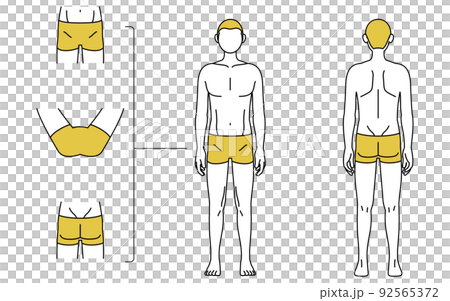 Men's hair removal, whole body (front and back) and VIO site guidance, wearing underwear 92565372