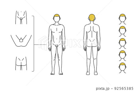 メンズ脱毛、ひげ・全身・VIOの部位案内、全裸姿 92565385