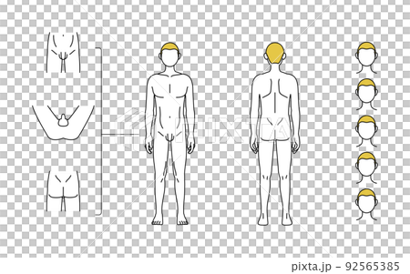メンズ脱毛、ひげ・全身・VIOの部位案内、全裸姿 92565385
