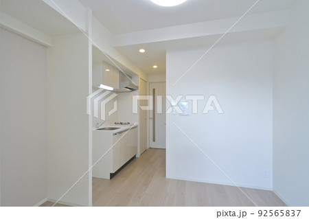 ワンルームマンション ワンルームマンション 92565837