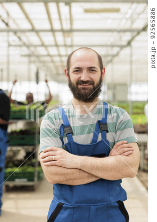 Portrait of smiling man posing with arms crossed in modern greenhouse with crates of fresh lettuce ready for delivery to supermarket. Organic farm worker posing happy in bio vegetables local business. Portrait of smiling man posing with arms crossed in modern greenhouse with crates of fresh lettuce ready for delivery to supermarket. Organic farm worker posing happy in bio vegetables local business. 92565886
