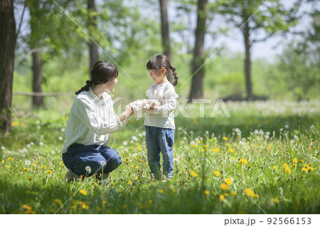 春の野原で遊ぶ親子 92566153