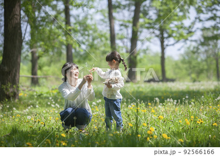 春の野原で遊ぶ親子 92566166