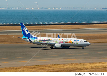 ANA ボーイング737-800 東北フラワージェットの写真素材 [92566511