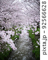 サクラと春の小川 92566628