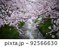 サクラと春の小川 92566630