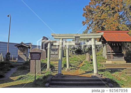 赤塚諏訪神社（板橋） 92567056