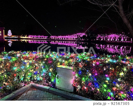 東武動物公園水辺のクリスマスイルミネーション 92567305