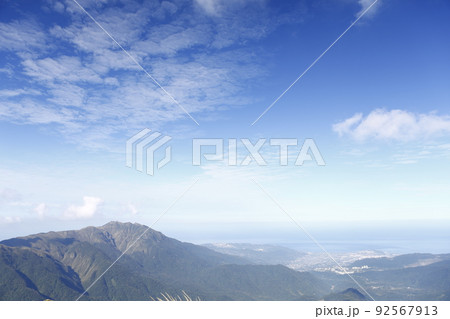 陽明山 すすき 薄 92567913