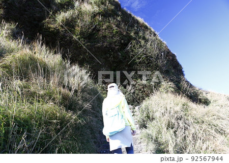 陽明山 すすき 薄 92567944