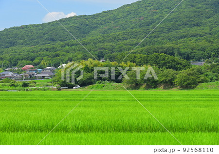 筑波山の田園風景 筑波山の田園風景 92568110