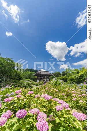 京都府・観音寺 92568145
