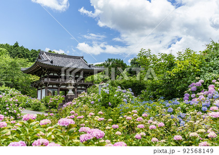 京都府・観音寺 92568149