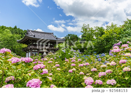 京都府・観音寺 京都府・観音寺 92568153