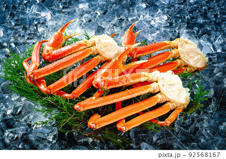 ずわい蟹 直置き 92568167