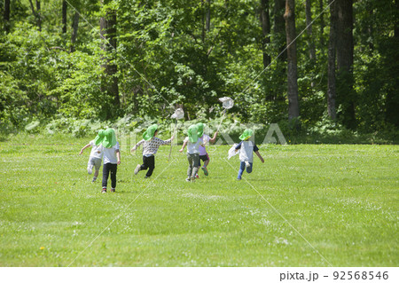 虫取りをする子どもたち 92568546