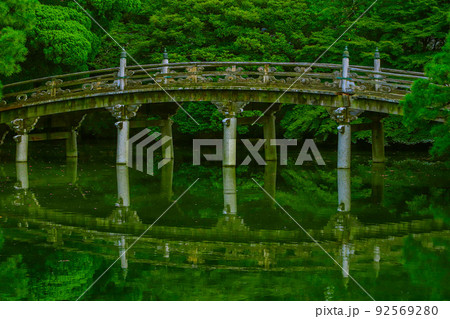 京都御所 御池庭 夏の緑 京都御所 御池庭 夏の緑 92569280