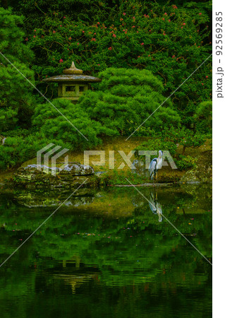 京都御所　御池庭　夏の緑 92569285