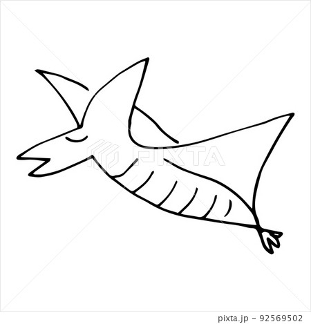 Vector black and white image of a flying pterodactyl. Vector black and white image of a flying pterodactyl. 92569502