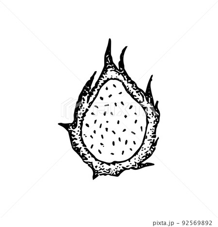 Dragon Fruit Dotwork 92569892