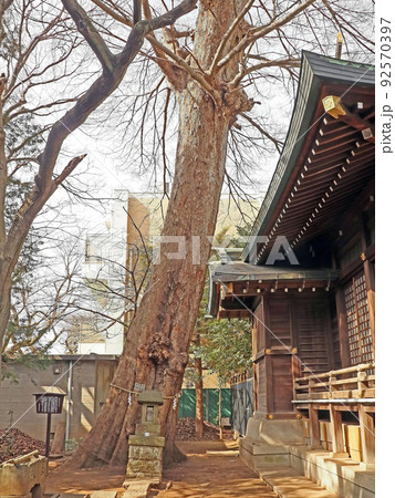 中台稲荷神社（板橋） 92570397