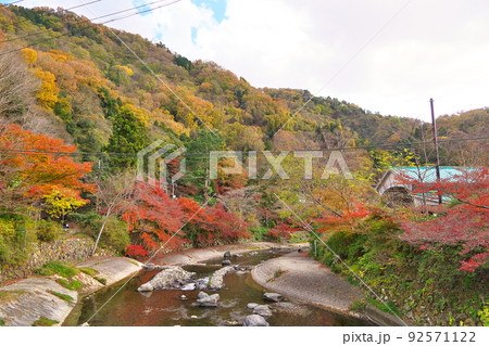 京都八瀬の紅葉の風景を高野川の橋上にて～叡山電鉄八瀬比叡山口駅付近 92571122