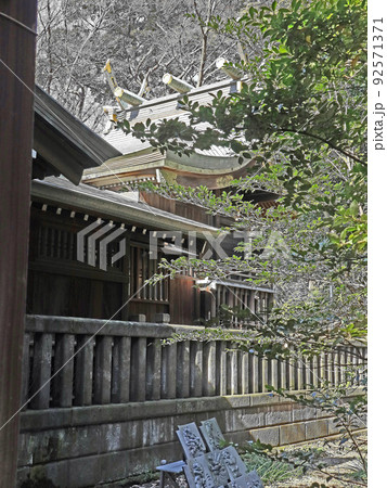 双葉町氷川神社(板橋) 双葉町氷川神社(板橋) 92571371