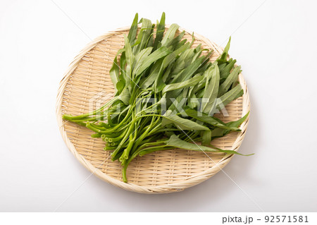 空芯菜 空芯菜 92571581