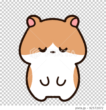 お辞儀をするかわいいハムスター 92572072