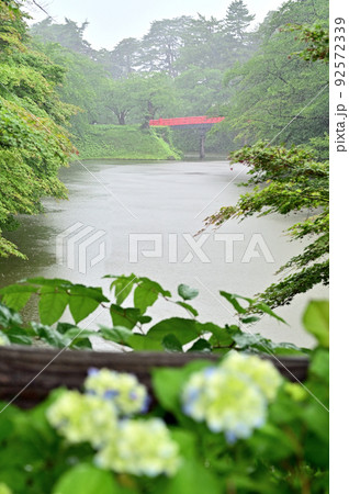 史跡弘前城 アジサイと杉の大橋 史跡弘前城 アジサイと杉の大橋 92572339