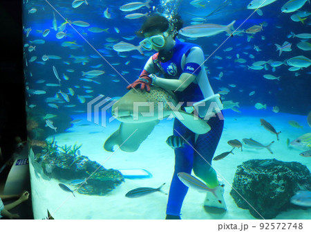 サンシャイン水族館　サメと遊ぶ飼育員 92572748
