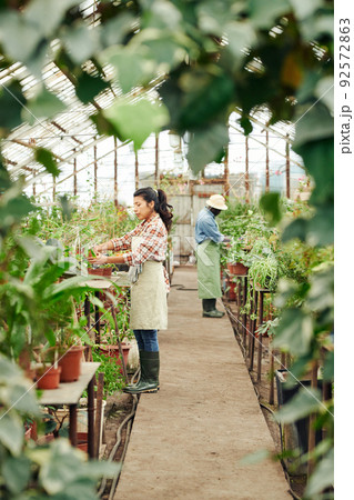 Vertical long shot of man and woman working in greenhouse growing and taking care of various plants Vertical long shot of man and woman working in greenhouse growing and taking care of various plants 92572863