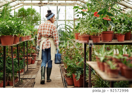 Rear view shot of young woman wearing apron and rubber boots working in greenhouse store carrying watering can 92572996