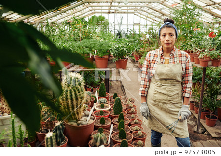 Horizontal medium long shot of young adult Hispanic woman wearing apron working in greenhouse looking at camera Horizontal medium long shot of young adult Hispanic woman wearing apron working in greenhouse looking at camera 92573005