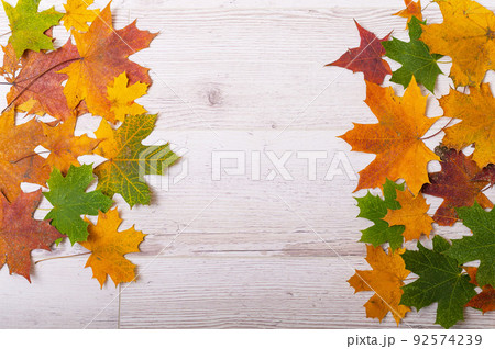 Multicolored maple leaves on a wooden background. Copy space 92574239