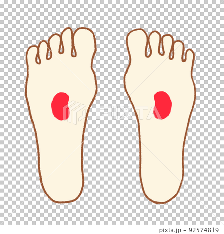 足つぼの簡単な図 腎臓 足つぼの簡単な図 腎臓 92574819
