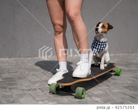 Caucasian woman riding a longboard along with dog jack russell terrier. Caucasian woman riding a longboard along with dog jack russell terrier. 92575203