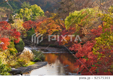 京都八瀬、高野川の紅葉～ケーブル八瀬駅前西塔橋からの風景 92575303