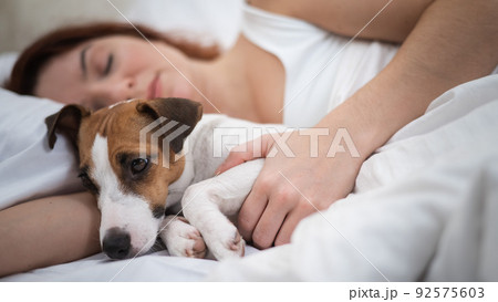 Caucasian woman is napping in bed hugging her beloved dog. Caucasian woman is napping in bed hugging her beloved dog. 92575603