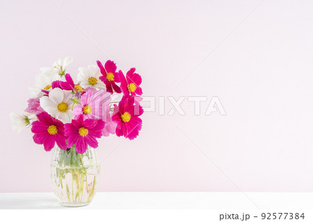コスモスの花のアレンジメント コスモスの花のアレンジメント 92577384