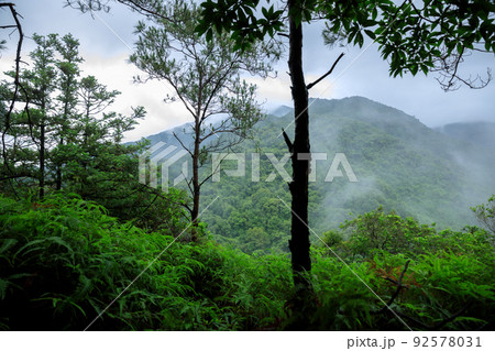 Beautiful tropical forest mountain landscape in summer Beautiful tropical forest mountain landscape in summer 92578031