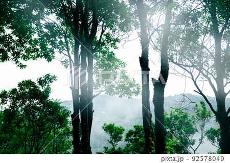 Beautiful tropical forest mountain landscape in summer Beautiful tropical forest mountain landscape in summer 92578049