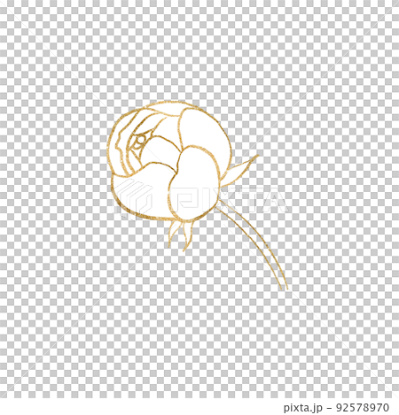 Watercolor golden and white outline peony flower illustration element Watercolor golden and white outline peony flower illustration element 92578970