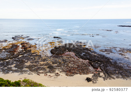 Mushroom Reef Marine Sanctuary - Flinders Mushroom Reef Marine Sanctuary - Flinders 92580377